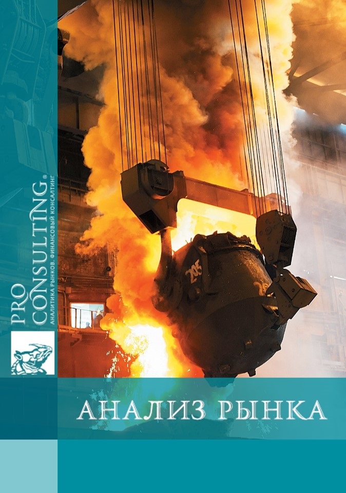 Паспорт металлургической отрасли Украины. 2006 год